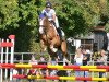 jumper Barrichello 21 (German Sport Horse, 2014, from Baccaccio)