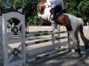 jumper Chico 978 (German Sport Horse, 2013, from Casskeni II)