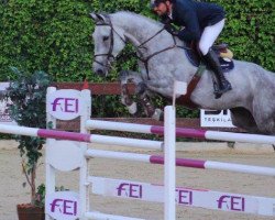 jumper Godfried van den Aard (Belgian Warmblood, 2006, from Burggraaf)