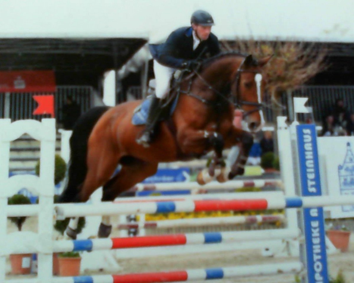 Springpferd Lenox W (Westfale, 2011, von Lordanos)