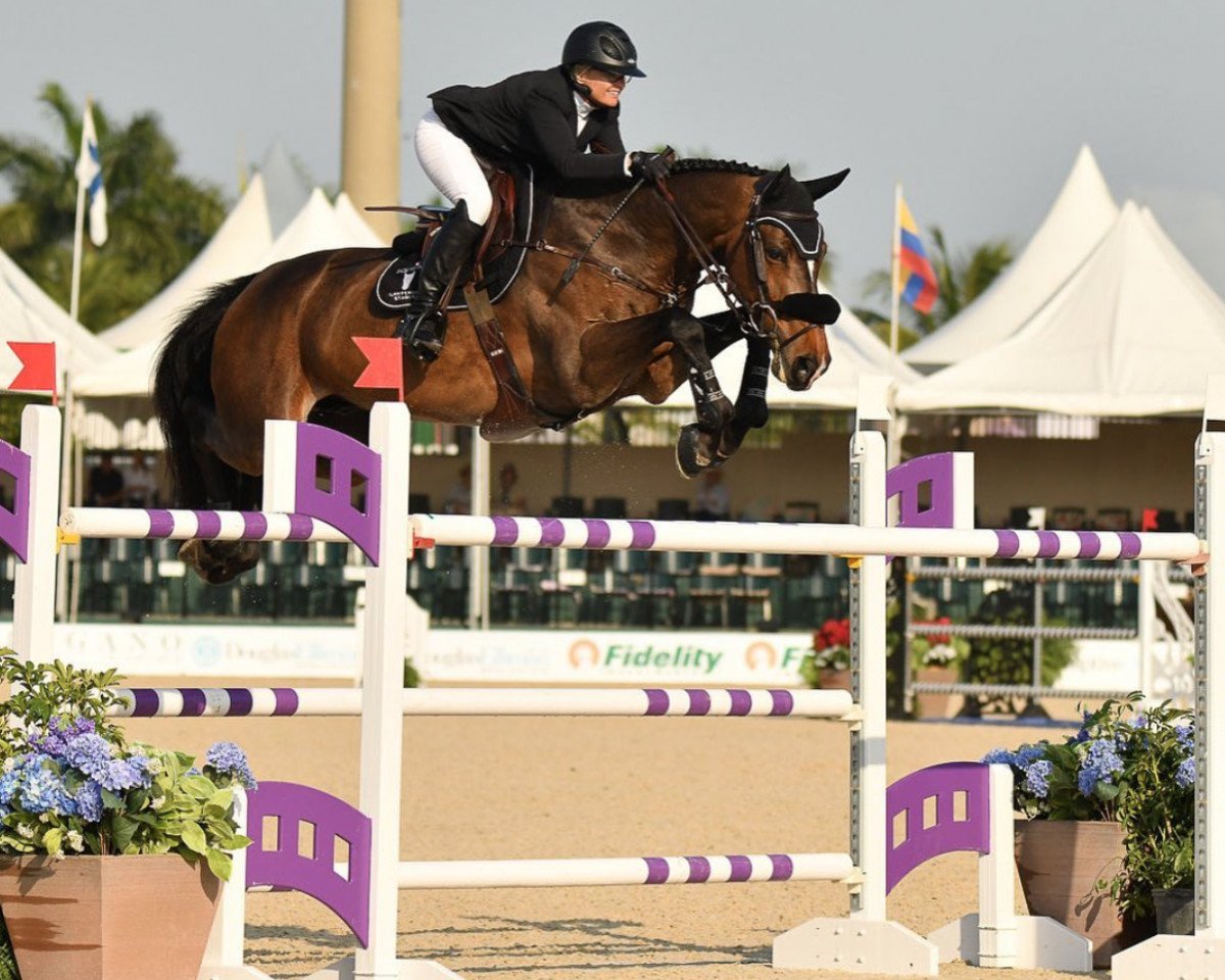 jumper Catoki's Son Z (Zangersheide riding horse, 2009, from Catoki)