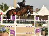 jumper Catoki's Son Z (Zangersheide riding horse, 2009, from Catoki)