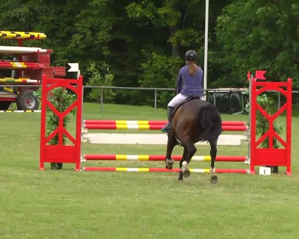 Grosses Freilandreitturnier Leingarten 2014