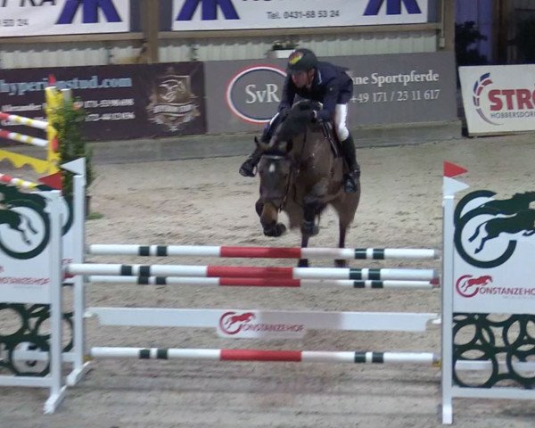 jumper Cinnamon de Puuvil Z (Zangersheide riding horse, 2014, from Cascadello)