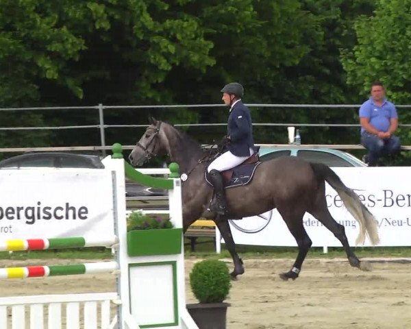 Großes Langenauer Reitturnier 2014