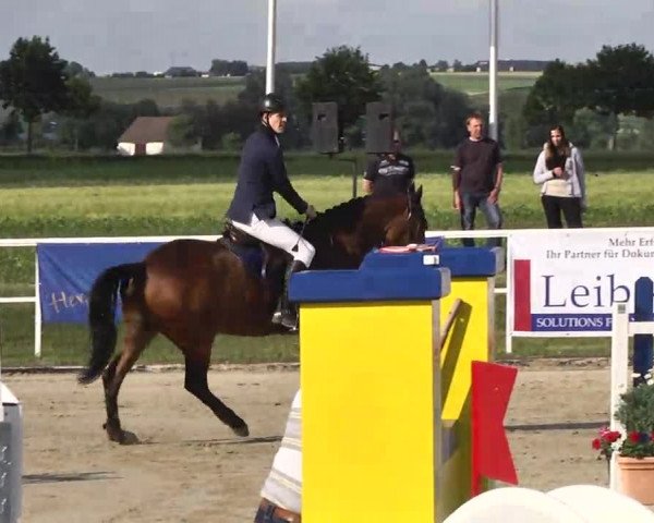 Großes Langenauer Reitturnier 2014