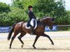 dressage horse El corazon (Westphalian, 2010, from Ehrenpreis)