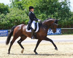 dressage horse El corazon (Westphalian, 2010, from Ehrenpreis)