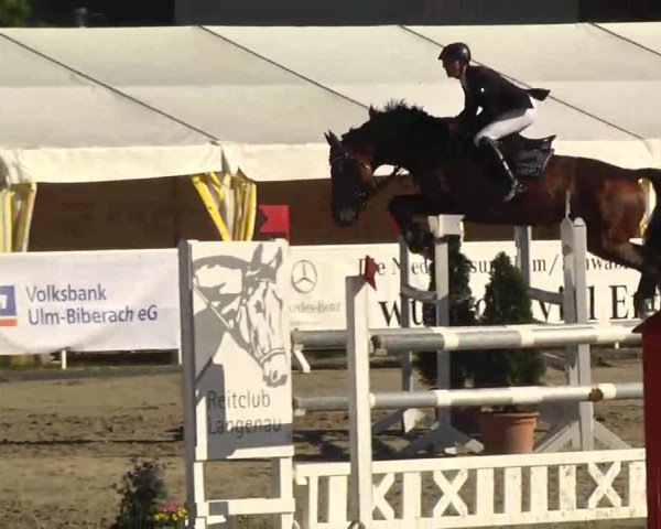 Großes Langenauer Reitturnier 2014