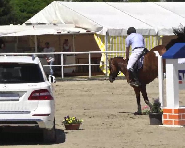 Großes Langenauer Reitturnier 2014