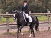 dressage horse Cira (German Riding Pony, 2002, from Kennedy WE)