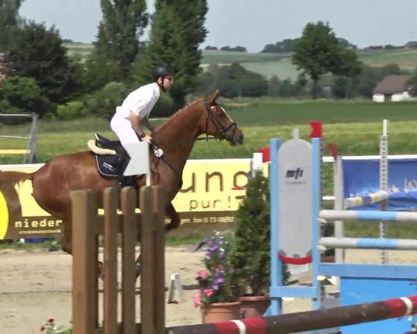 Großes Langenauer Reitturnier 2014