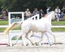 Pferd Söl'rings Cheyenne (Deutsches Reitpony, 2013, von The Braes My Mobility)