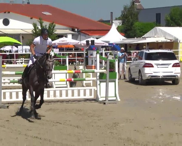 Großes Langenauer Reitturnier 2014