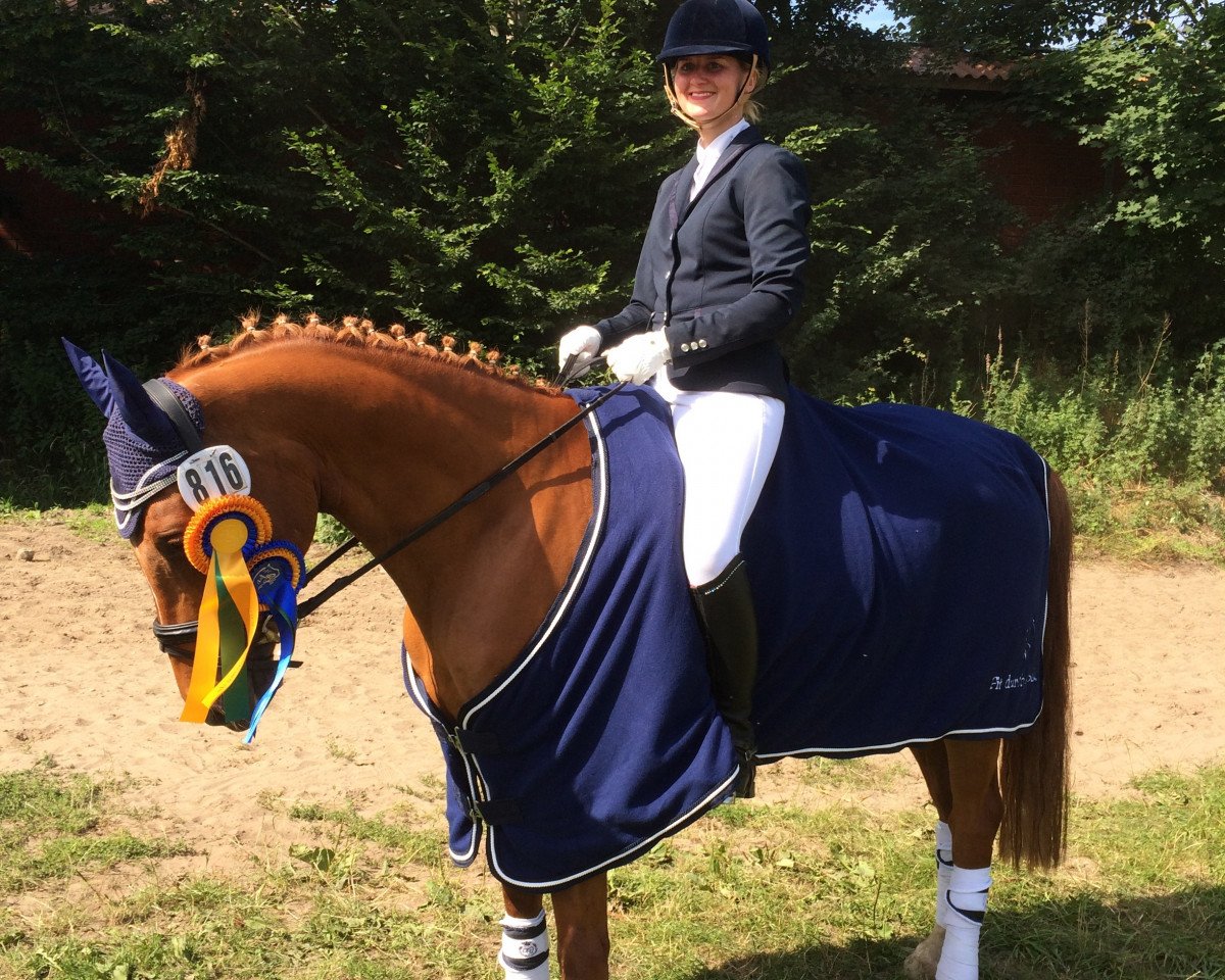Dressurpferd Mikesch 17 (Deutsches Reitpony, 2009, von Matchello)