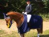 dressage horse Mikesch 17 (German Riding Pony, 2009, from Matchello)