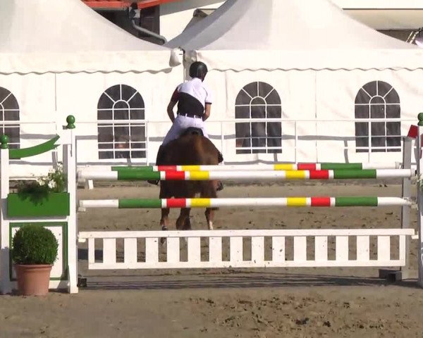 Großes Langenauer Reitturnier 2014