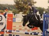 jumper Viola 233 (German Riding Pony, 2001, from Viscount)