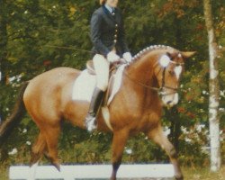 broodmare Herzmaid II (Trakehner, 1985, from Chopstick)