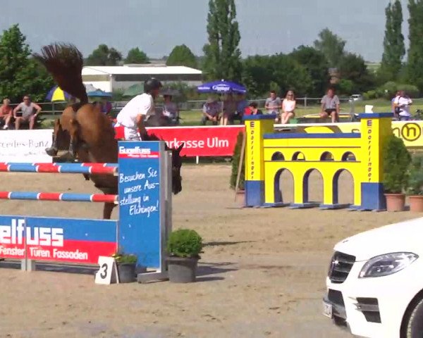 Großes Langenauer Reitturnier 2014