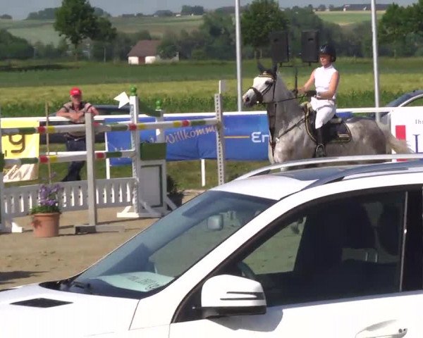 Großes Langenauer Reitturnier 2014