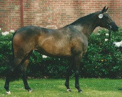 broodmare Alisa (Trakehner, 1999, from Sixtus)