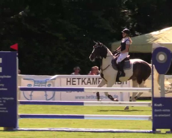 Pfingst - Dressur und Springturnier Borken 2014