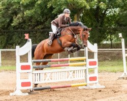 jumper Lucie Lou 3 (German Sport Horse, 2011, from Le Co Q As)