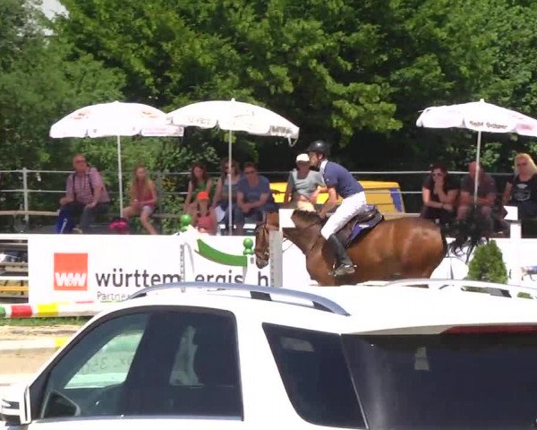 Großes Langenauer Reitturnier 2014