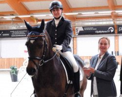 dressage horse Danny Number One (German Riding Pony, 2004, from Don Joshi)