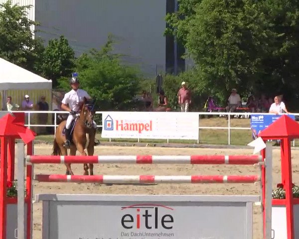 Großes Langenauer Reitturnier 2014