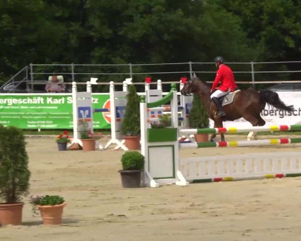 Großes Langenauer Reitturnier 2014