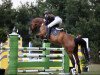 jumper Balotelli (Hanoverian, 2006, from Balou du Rouet)