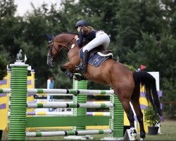 jumper Balotelli (Hanoverian, 2006, from Balou du Rouet)