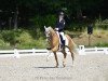 Dressurpferd Fs Mr. Magic (Deutsches Reitpony, 2012, von FS Mr. Right)