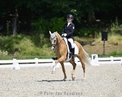 Dressurpferd Fs Mr. Magic (Deutsches Reitpony, 2012, von FS Mr. Right)