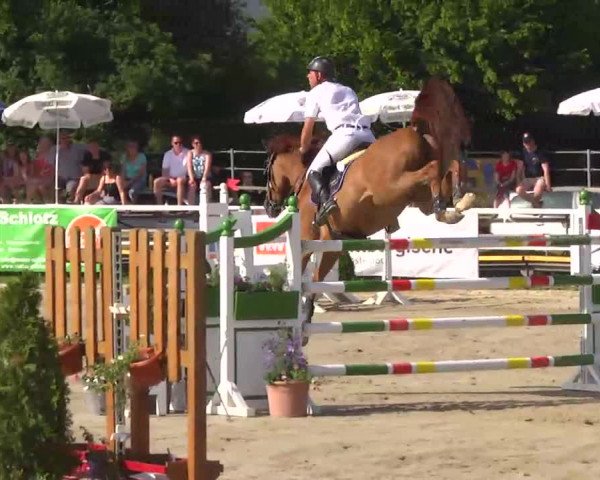 Großes Langenauer Reitturnier 2014