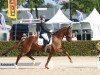 dressage horse Guadeloupe-Beau (KWPN (Royal Dutch Sporthorse), 2011, from Bordeaux 28)