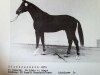 stallion Silberschein (Brandenburg, 1985, from Sekurit)