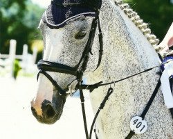 jumper Pialotta 78 (German Sport Horse, 2009, from Prinzregent)