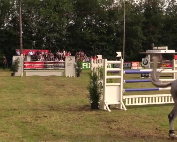 Pfingst - Dressur und Springturnier Borken 2014