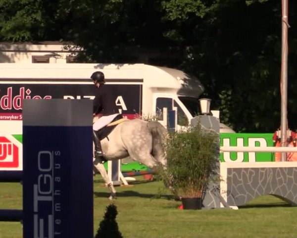 Pfingst - Dressur und Springturnier Borken 2014