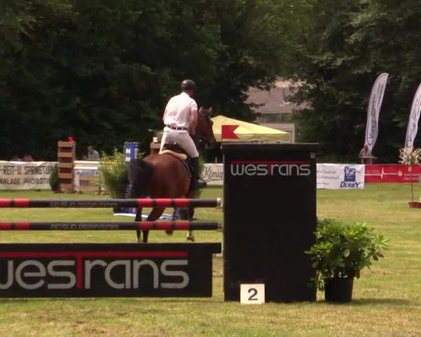 Pfingst - Dressur und Springturnier Borken 2014