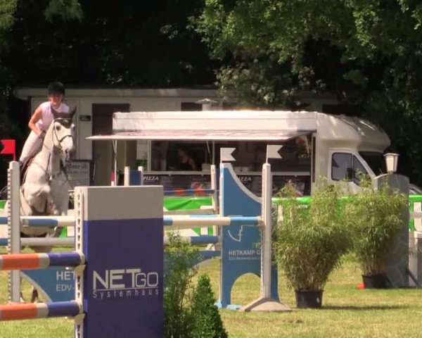 Pfingst - Dressur und Springturnier Borken 2014
