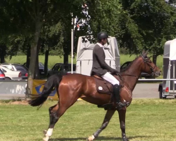 Pfingst-Reitturnier Kreuzkrug-Raddestorf 2014