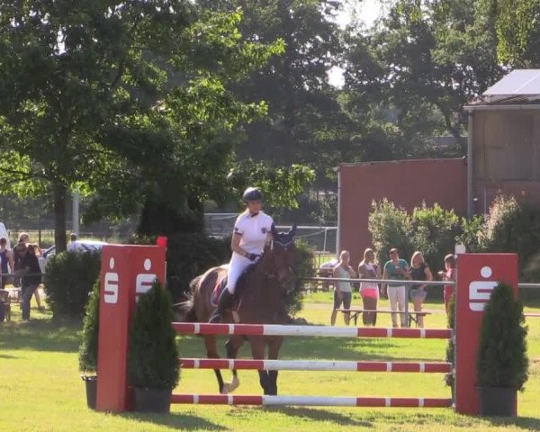 Pfingst-Reitturnier Kreuzkrug-Raddestorf 2014