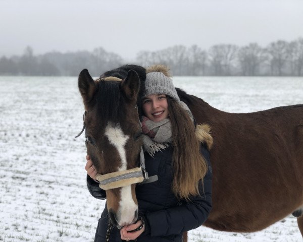 dressage horse Lucky 906 (German Riding Pony, 1997, from Lucky Strike)