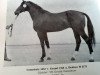 stallion Grundsatz 1452 (Mecklenburg, 1983, from Grund)