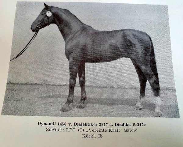stallion Dynamit (unknown, 1983, from Dialektiker)