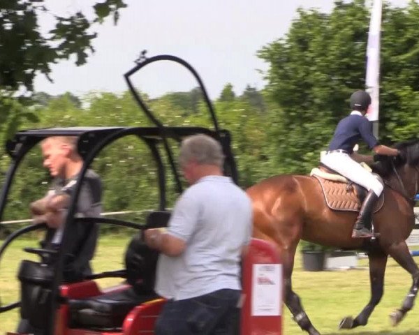 Pfingst-Reitturnier Kreuzkrug-Raddestorf 2014